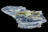 Vibrant Blue Kyanite Crystal Cluster - Brazil #113472-1